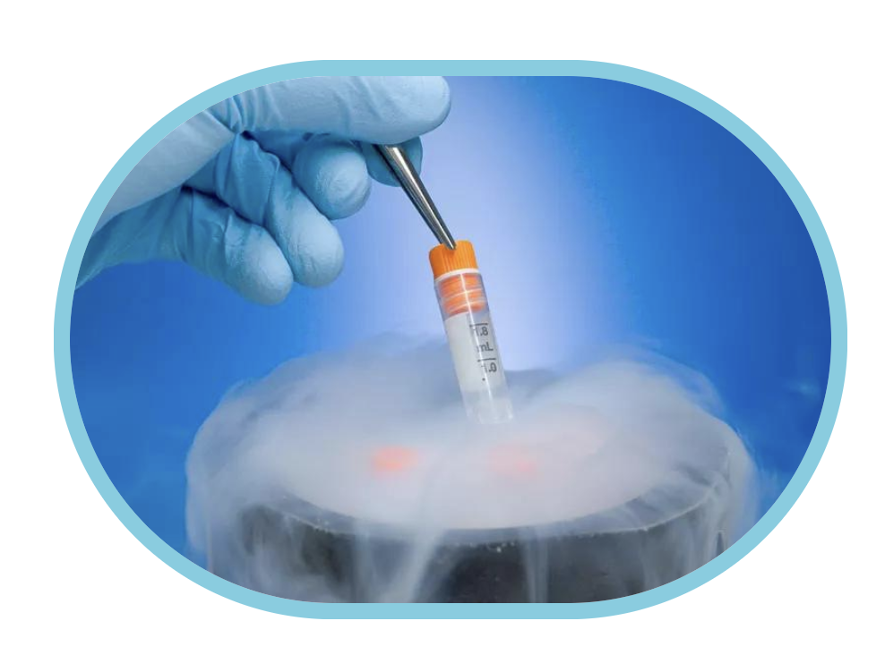 Egg Freezing